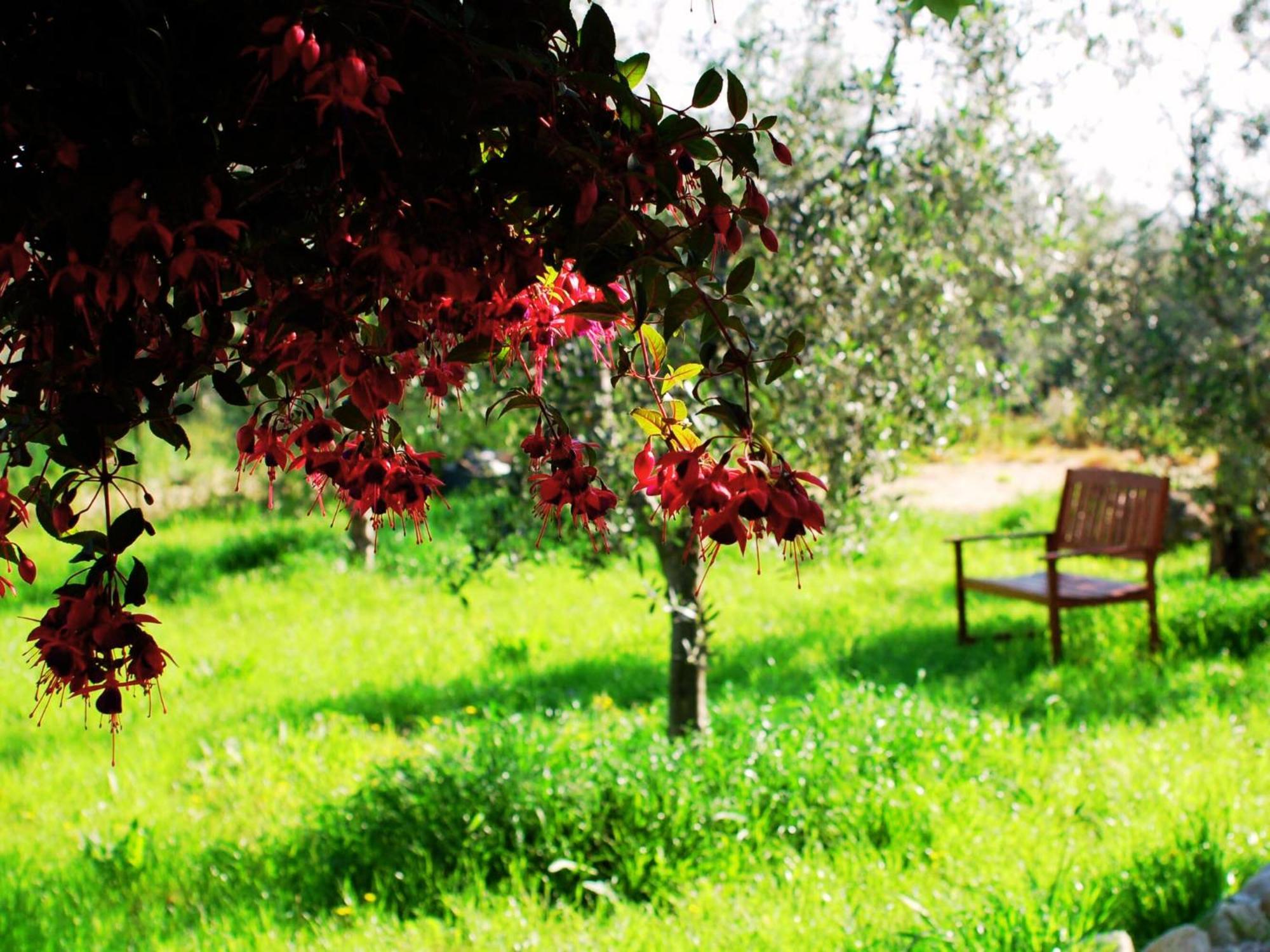 Don Federico Country Inn Moscufo Extérieur photo
